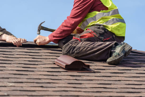 Best Roof Gutter Cleaning  in Allison, IA