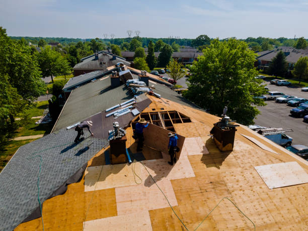 Best Commercial Roofing Services  in Allison, IA