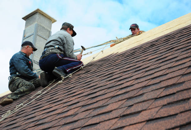 Best Commercial Roofing Services  in Allison, IA