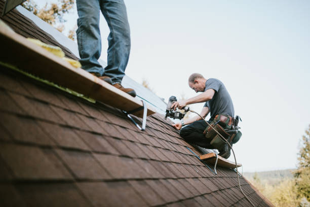 Best Flat Roof Repair Services  in Allison, IA